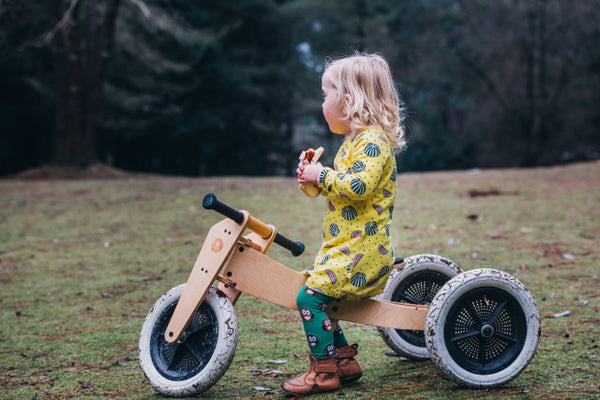 Original 3-in-1 Natural Balance Bike (Return)