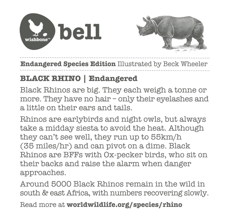 Interesting fact card on black rhinos